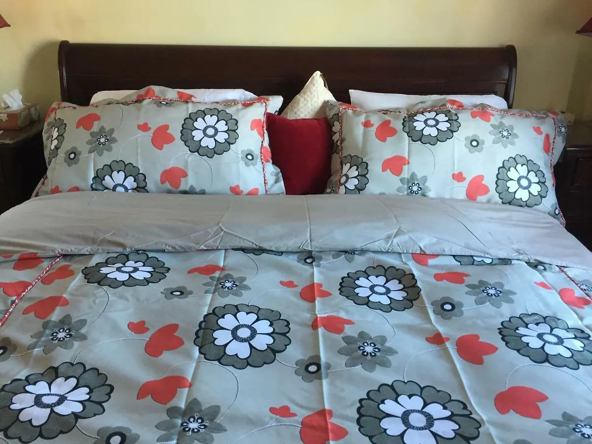 Water View Apt Near Downtown& Airport Apartment Montreal