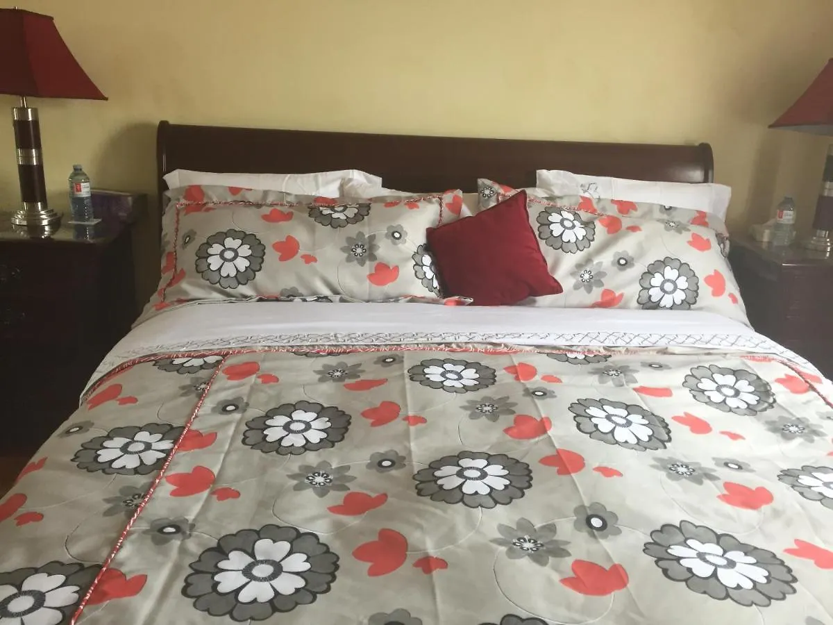 Water View Apt Near Downtown& Airport Apartment Montreal Canada